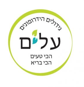 לוגו עלים